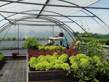 Dagbesteding de Moestuin