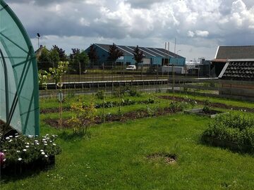de droomtuin 2